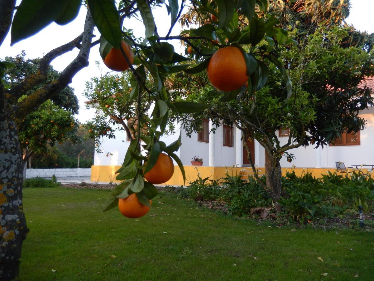 Quinta Laranjal Da Arrabida Bed and Breakfast Palmela Buitenkant foto